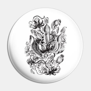 Haeckel's Pitchers Pin