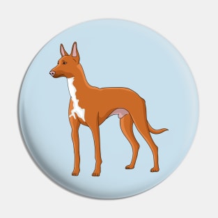 Pharaoh hound dog cartoon illustration Pin