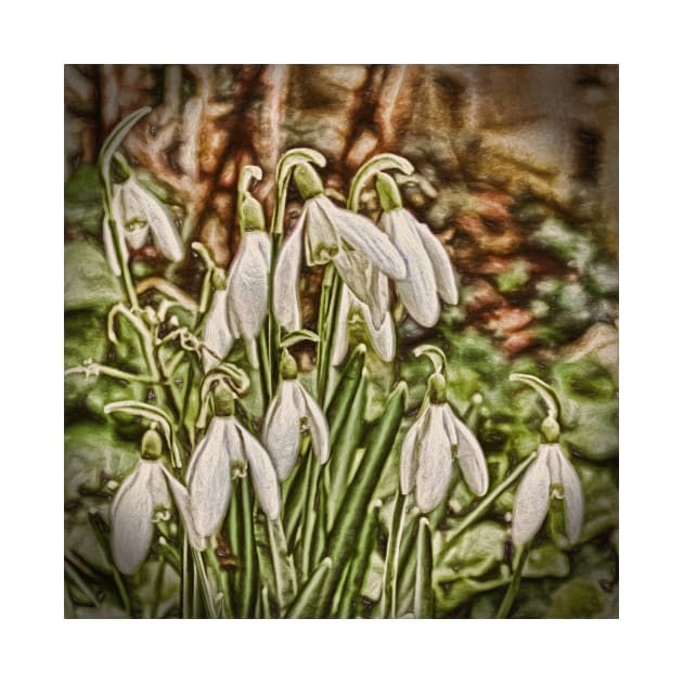 Snowdrops by avrilharris