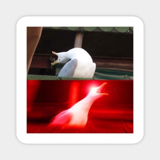 Inhaling Seagull Meme Magnet