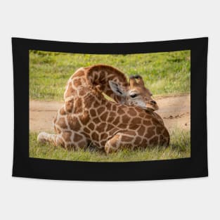 Baby Giraffe - Time To Relax Tapestry