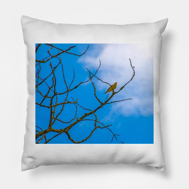 Yellow Bird Pillow by StevenElliot