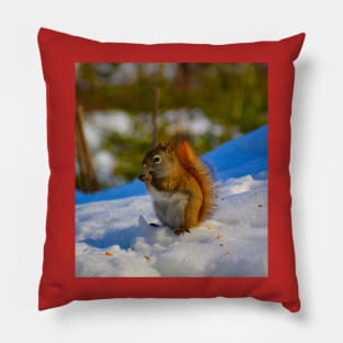 Squirrel munching Pillow