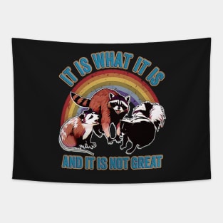 It Is What It Is And It Is Not Great Funny Raccoon Meme Tapestry