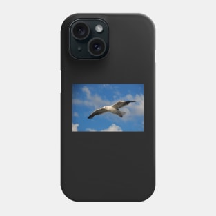 Jonathan Livingston Phone Case