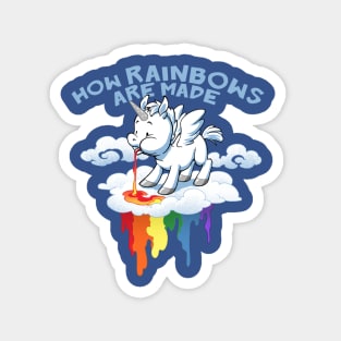 The Origin of Rainbows Magnet