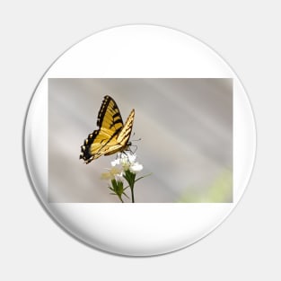 Swallowtail Butterfly Pin