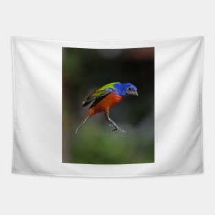 Painted Bunting Bird in Suspension Tapestry