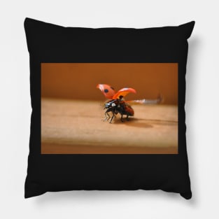 She's back the Ladybird has landed Pillow