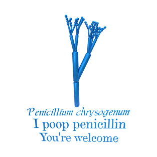 I Poop Penicillin T-Shirt