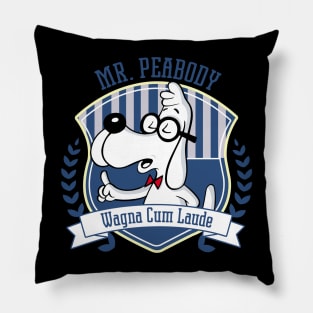 Adventures of Boys Pillow