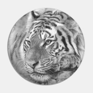 Easy Tiger Pin