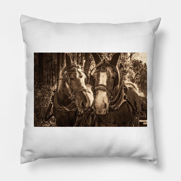 Horse Pride 3 Pillow by Robert Alsop