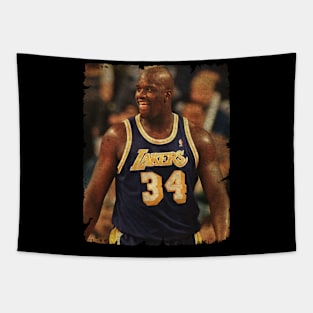 Literally Nothing You Can Do About Prime Shaq, 1998 Tapestry