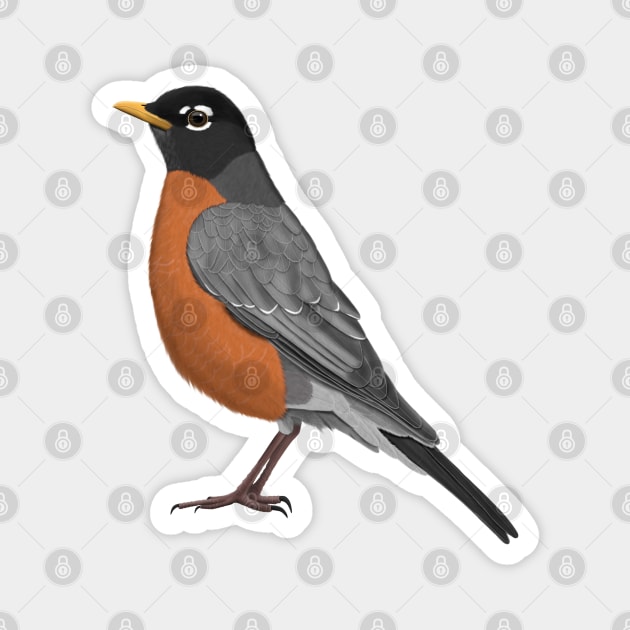 American Robin Bird Birder Birdlover Birdwatcher Animal Magnet by jzbirds