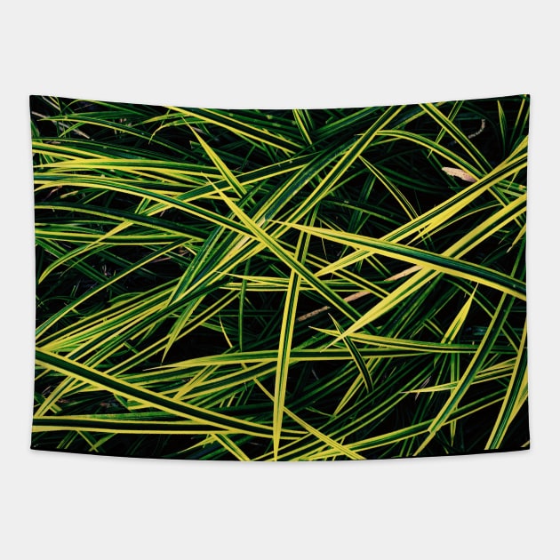 Yellow Green neon - needles pattern - Abstract photography Tapestry by ArtByMe