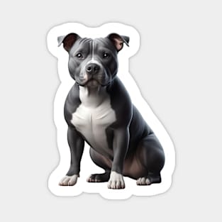 Pit Bull Magnet