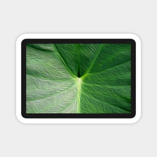 Taro leaf oil painting effect Magnet