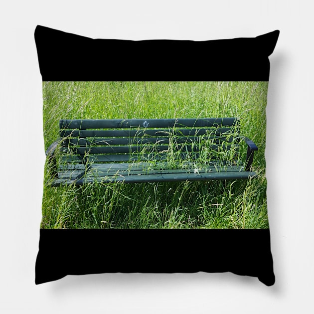 Bench in the grass photo design Pillow by OnuM2018