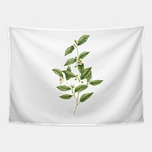 Watercolor tea plant artwork Tapestry