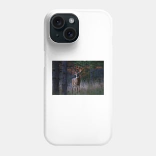 White-tailed Buck Phone Case