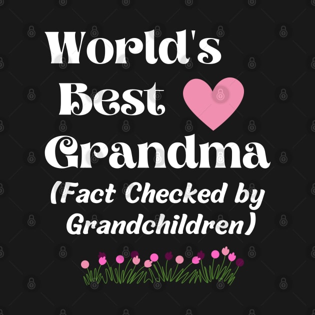 World's best grandma, Fact checked by grandchildren by Rubi16