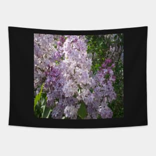 Purple lilac Tapestry