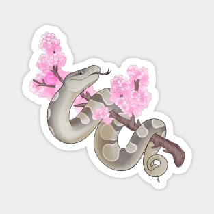 Pink Sakura Ball Python Pewter Magnet