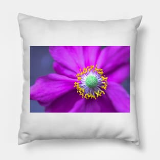 Close-up of a purple anemone Pillow