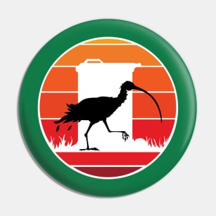 Ibis Sunset Pin