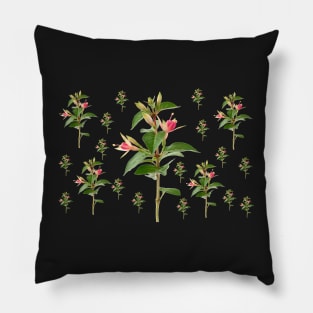 Fuchsia 'Princess Charlotte' Pillow