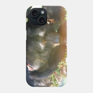 Sleepy Bear Phone Case