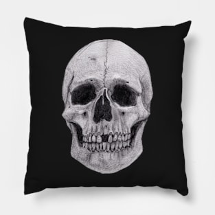 Skull Sketch - Anatomy Drawing - Skeleton Pillow