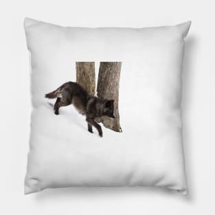 Black Wolf in winter Pillow