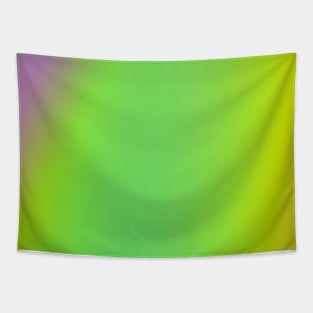 red blue green pink texture art Tapestry