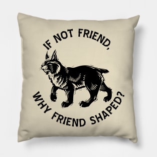 If not friend, why friend shaped? Pillow