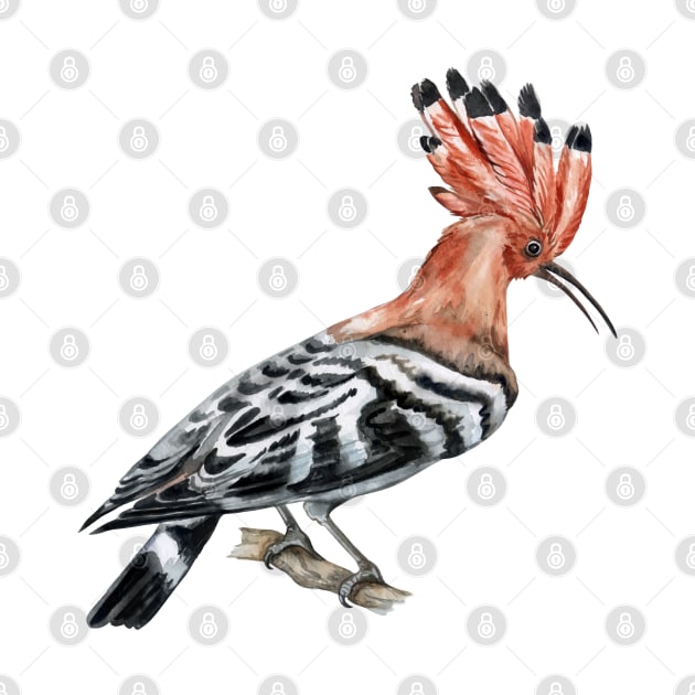 hoopoe bird hand drawn by Mako Design 