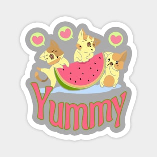 Watermelon Eating Kittens Magnet