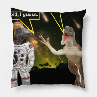 DAstupid Pillow