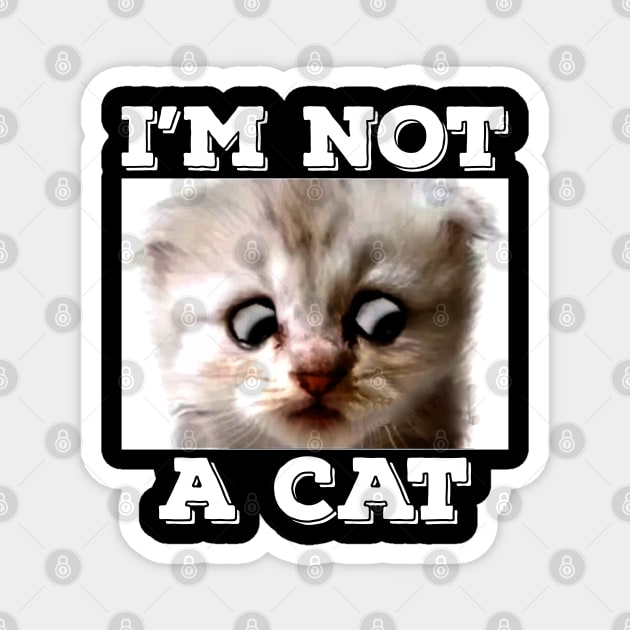 I'm here live, I'M NOT A CAT - Funny Zoom Chat Cat Magnet by ChattanoogaTshirt