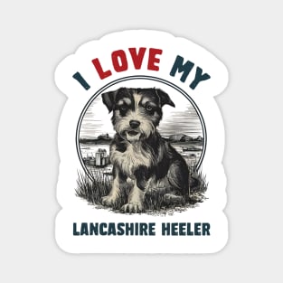 I love my Lancashire Heeler Magnet