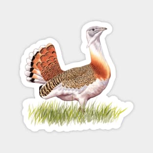 Great Bustard Magnet