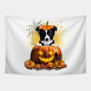 Border Collie Spooky Halloween Pumpkin Dog Head Tapestry