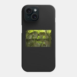 Ruins surrounded by nature Phone Case