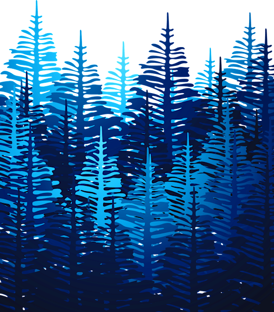 Pine Forest - Blue Light Kids T-Shirt by SilverPegasus