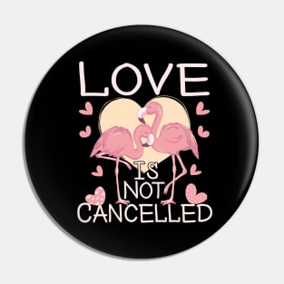 Love Is Not Cancelled Happy Valentines Day 2021 Flamingos Lovers Pin