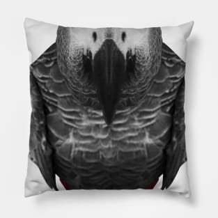 african grey parrot gear Pillow