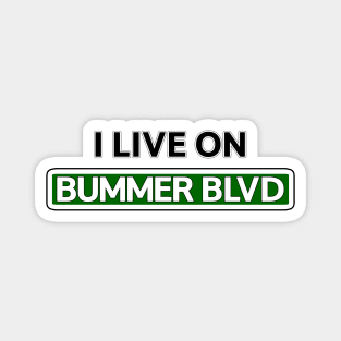 I live on Bummer Blvd Magnet