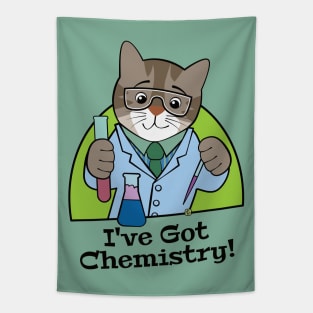 I've Got Chemistry Scientist Cat Tapestry