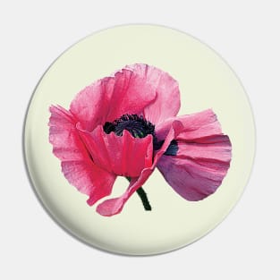 Pink Poppy Closeup Pin